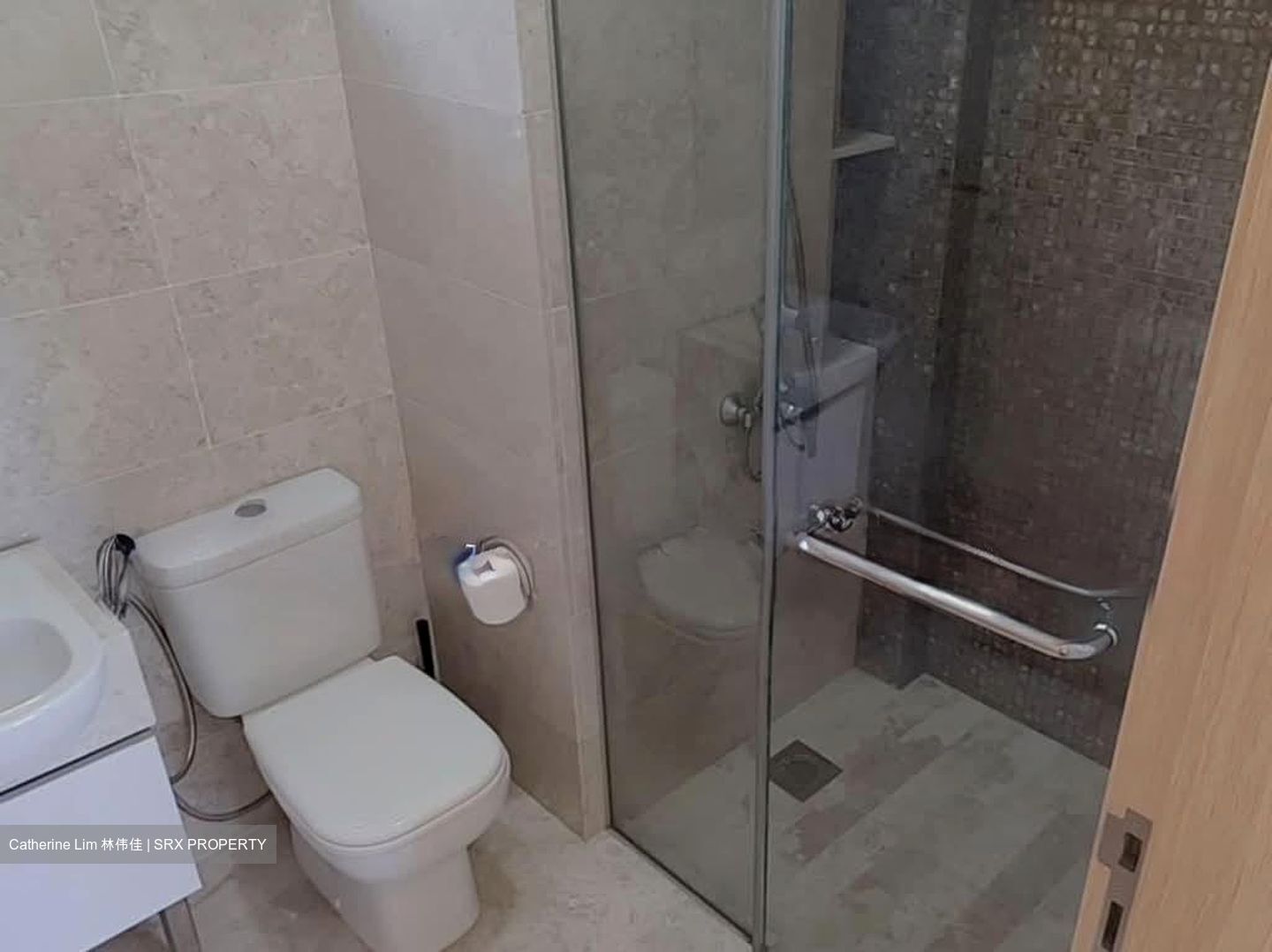 La Fiesta (D19), Condominium #530307511